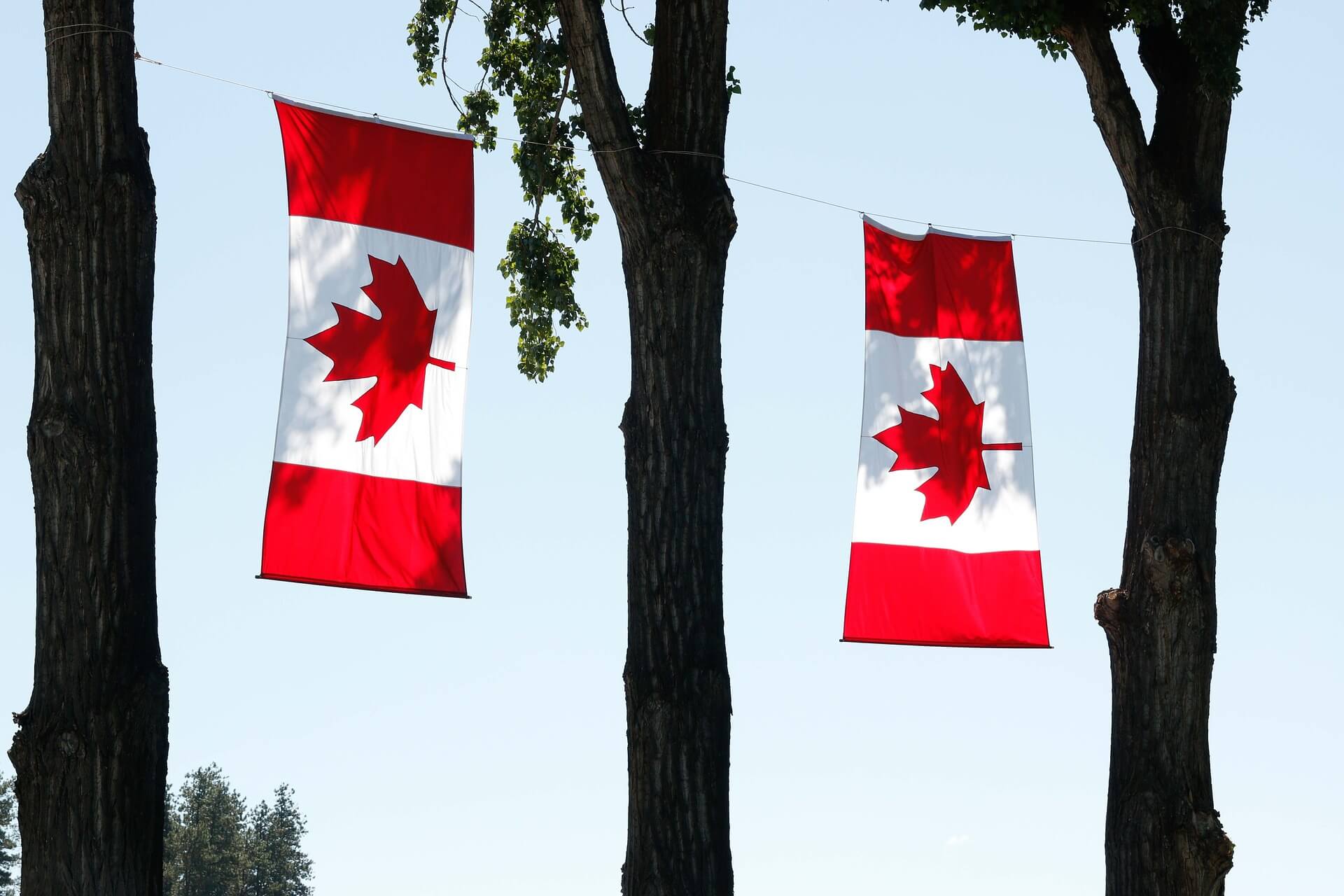 Muskoka airport limo- Canada Day